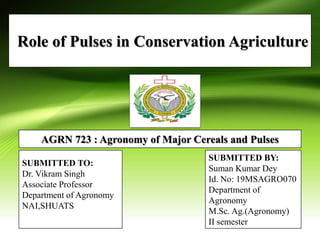 Role of Pulses in Conservation Agriculture
1
AGRN 723 : Agronomy of Major Cereals and Pulses
SUBMITTED TO:
Dr. Vikram Singh
Associate Professor
Department of Agronomy
NAI,SHUATS
SUBMITTED BY:
Suman Kumar Dey
Id. No: 19MSAGRO070
Department of
Agronomy
M.Sc. Ag.(Agronomy)
II semester
 