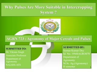 Why Pulses Are More Suitable in Intercropping
System ?
AGRN 723 : Agronomy of Major Cereals and Pulses
SUBMITTED TO:
Dr. Vikram Singh
Associate Professor
Department of
Agronomy
NAI,SHUATS
SUBMITTED BY:
Suman Kumar Dey
Id. No: 19MSAGRO070
Department of
Agronomy
M.Sc. Ag.(Agronomy)
II semester 1
 