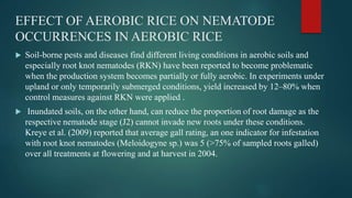 EFFECT OF AEROBIC RICE ON NEMATODE
OCCURRENCES IN AEROBIC RICE
 Soil-borne pests and diseases find different living conditions in aerobic soils and
especially root knot nematodes (RKN) have been reported to become problematic
when the production system becomes partially or fully aerobic. In experiments under
upland or only temporarily submerged conditions, yield increased by 12–80% when
control measures against RKN were applied .
 Inundated soils, on the other hand, can reduce the proportion of root damage as the
respective nematode stage (J2) cannot invade new roots under these conditions.
Kreye et al. (2009) reported that average gall rating, an one indicator for infestation
with root knot nematodes (Meloidogyne sp.) was 5 (>75% of sampled roots galled)
over all treatments at flowering and at harvest in 2004.
 