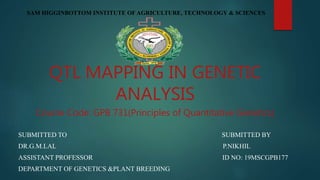 QTL MAPPING IN GENETIC
ANALYSIS
Course Code: GPB 731(Principles of Quantitative Genetics)
SUBMITTED TO SUBMITTED BY
DR.G.M.LAL P.NIKHIL
ASSISTANT PROFESSOR ID NO: 19MSCGPB177
DEPARTMENT OF GENETICS &PLANT BREEDING
SAM HIGGINBOTTOM INSTITUTE OF AGRICULTURE, TECHNOLOGY & SCIENCES
 