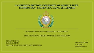 SAM HIGGIN BOTTOM UNIVERSITY OF AGRICULTURE,
TECHNOLOGY & SCIENCES, NAINI, ALLAHABAD
DEPARTMENT OF PLANT BREEDING AND GENETICS
TOPIC: PURE LINE THEORY AND PURE LINE SELECTION
PRESENTED BY
P. NIKHIL
19MSCGPB177
SUBMITTED TO:
Dr.B.G.SURESH
DEPT OF GENETICS AND PLANT BREEDING
 