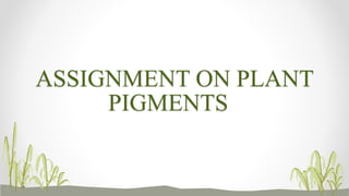 ASSIGNMENT ON PLANT
PIGMENTS
 