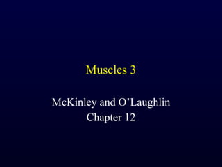 Muscles 3 McKinley and O’Laughlin Chapter 12 