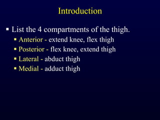 Introduction List the 4 compartments of the thigh. Anterior -  extend knee, flex thigh Posterior -  flex knee, extend thigh Lateral -  abduct thigh Medial -  adduct thigh 