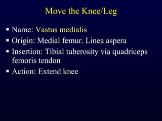 Move the Knee/Leg Name:  Vastus medialis Origin: Medial femur. Linea aspera Insertion: Tibial tuberosity via quadriceps femoris tendon Action: Extend knee 