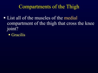 Compartments of the Thigh List all of the muscles of the  medial  compartment of the thigh that cross the knee joint? Gracilis 