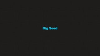 Big Seed

 
