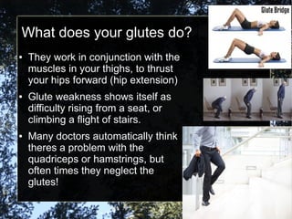 What does your glutes do?
● They work in conjunction with the
muscles in your thighs, to thrust
your hips forward (hip extension)
● Glute weakness shows itself as
difficulty rising from a seat, or
climbing a flight of stairs.
● Many doctors automatically think
theres a problem with the
quadriceps or hamstrings, but
often times they neglect the
glutes!
 