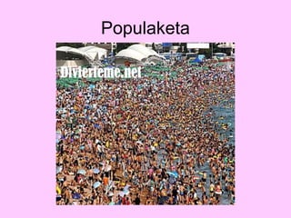 Populaketa
 