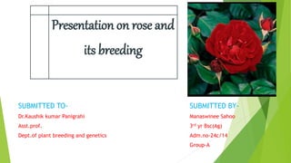 Presentation on rose and
its breeding
SUBMITTED TO-
Dr.Kaushik kumar Panigrahi
Asst.prof.
Dept.of plant breeding and genetics
SUBMITTED BY-
Manaswinee Sahoo
3rd yr Bsc(Ag)
Adm.no-24c/14
Group-A
 