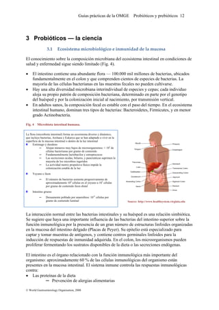 Guías prácticas de la OMGE Probióticos y prebióticos 12
 
3 Probióticos — la ciencia
3.1 Ecosistema microbiológico e inmunidad de la mucosa  
El conocimiento sobre la composición microbiana del ecosistema intestinal en condiciones de
salud y enfermedad sigue siendo limitado (Fig. 4).
• El intestino contiene una abundante flora — 100.000 mil millones de bacterias, ubicados
fundamentalmente en el colon y que comprenden cientos de especies de bacterias. La
mayoría de las células bacterianas en las muestras fecales no pueden cultivarse.
• Hay una alta diversidad microbiana interindividual de especies y cepas; cada individuo
aloja su propio patrón de composición bacteriana, determinado en parte por el genotipo
del huésped y por la colonización inicial al nacimiento, por transmisión vertical.
• En adultos sanos, la composición fecal es estable con el paso del tiempo. En el ecosistema
intestinal humano, dominan tres tipos de bacterias: Bacteroidetes, Firmicutes, y en menor
grado Actinobacteria.
Fig. 4 Microbiota intestinal humana.
La flora (microbiota intestinal) forma un ecosistema diverso y dinámico,
que incluye bacterias, Archaea y Eukarya que se han adaptado a vivir en la
superficie de la mucosa intestinal o dentro de la luz intestinal
Estómago y duodeno
─ Alojan números muy bajos de microorganismos: < 103
de
células bacterianas por gramo de contenido
─ Fundamentalmente lactobacilos y estreptococos
─ Las secreciones ácidas, biliares, y pancreáticas suprimen la
mayoría de los microbios ingeridos
─ La actividad motriz propulsiva fásica impide la
colonización estable de la luz
Yeyuno e íleon
─ El número de bacterias aumenta progresivamente de
aproximadamente 104
células en el yeyuno a 107
células
por gramo de contenido íleon distal
Intestino grueso
─ Densamente poblado por anaerobios: 1012
células por
gramo de contenido luminal Source: http://www.healthsystem.virginia.edu
La interacción normal entre las bacterias intestinales y su huésped es una relación simbiótica.
Se sugiere que haya una importante influencia de las bacterias del intestino superior sobre la
función inmunológica por la presencia de un gran número de estructuras linfoides organizadas
en la mucosa del intestino delgado (Placas de Peyer). Su epitelio está especializado para
captar y tomar muestras de antígenos, y contiene centros germinales linfoides para la
inducción de respuestas de inmunidad adquirida. En el colon, los microorganismos pueden
proliferar fermentando los sustratos disponibles de la dieta o las secreciones endógenas.
El intestino es el órgano relacionado con la función inmunológica más importante del
organismo: aproximadamente 60 % de las células inmunológicas del organismo están
presentes en la mucosa intestinal. El sistema inmune controla las respuestas inmunológicas
contra:
• Las proteínas de la dieta
─ Prevención de alergias alimentarias
© World Gastroenterology Organisation, 2008
 