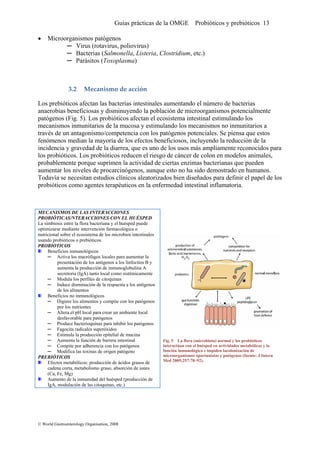 Guías prácticas de la OMGE Probióticos y prebióticos 13
• Microorganismos patógenos
─ Virus (rotavirus, poliovirus)
─ Bacterias (Salmonella, Listeria, Clostridium, etc.)
─ Parásitos (Toxoplasma)
3.2 Mecanismo de acción 
Los prebióticos afectan las bacterias intestinales aumentando el número de bacterias
anaerobias beneficiosas y disminuyendo la población de microorganismos potencialmente
patógenos (Fig. 5). Los probióticos afectan el ecosistema intestinal estimulando los
mecanismos inmunitarios de la mucosa y estimulando los mecanismos no inmunitarios a
través de un antagonismo/competencia con los patógenos potenciales. Se piensa que estos
fenómenos median la mayoría de los efectos beneficiosos, incluyendo la reducción de la
incidencia y gravedad de la diarrea, que es uno de los usos más ampliamente reconocidos para
los probióticos. Los probióticos reducen el riesgo de cáncer de colon en modelos animales,
probablemente porque suprimen la actividad de ciertas enzimas bacterianas que pueden
aumentar los niveles de procarcinógenos, aunque esto no ha sido demostrado en humanos.
Todavía se necesitan estudios clínicos aleatorizados bien diseñados para definir el papel de los
probióticos como agentes terapéuticos en la enfermedad intestinal inflamatoria.
MECANISMOS DE LAS INTERACCIONES
PROBIÓTICAS/NTERACCIONES CON EL HUÉSPED
La simbiosis entre la flora bacteriana y el huésped puede
optimizarse mediante intervención farmacológica o
nutricional sobre el ecosistema de los microbios intestinales
usando probióticos o prebióticos.
PROBIOTICOS
Beneficios inmunológicos
─ Activa los macrófagos locales para aumentar la
presentación de los antígenos a los linfocitos B y
aumenta la producción de inmunoglobulina A
secretoria (IgA) tanto local como sistémicamente
─ Modula los perfiles de citoquinas
─ Induce disminución de la respuesta a los antígenos
de los alimentos
Beneficios no inmunológicos
─ Digiere los alimentos y compite con los patógenos
por los nutrientes
─ Altera el pH local para crear un ambiente local
desfavorable para patógenos
─ Produce bacterioquinas para inhibir los patógenos
─ Fagocita radicales superóxidos
─ Estimula la producción epitelial de mucina
─ Aumenta la función de barrera intestinal
─ Compite por adherencia con los patógenos
─ Modifica las toxinas de origen patógeno
PREBIÓTICOS
Efectos metabólicos: producción de ácidos grasos de
cadena corta, metabolismo graso, absorción de iones
(Ca, Fe, Mg)
Aumento de la inmunidad del huésped (producción de
IgA, modulación de las citoquinas, etc.)
Fig. 5 La flora (microbiota) normal y los probióticos
interactúan con el huésped en actividades metabólicas y la
función inmunológica e impiden lacolonización de
microorganismos oportunistas y patógenos (fuente: J Intern
Med 2005;257:78–92).
 
 
© World Gastroenterology Organisation, 2008
 