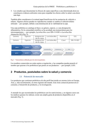 Guías prácticas de la OMGE Probióticos y prebióticos 6
3. Los estudios que documentan la eficacia de cepas específicas a una determinada dosis no
constituyen evidencia suficiente como para respaldar los efectos sobre la salud a una dosis
más baja.
También debe considerarse el eventual papel beneficioso de las sustancias de vehículo o
relleno. Algunos efectos pueden no reproducirse cuando se cambia el vehículo/relleno
utilizado— por ejemplo, debido a una disminución de la viabilidad de la cepa.
Una cepa probiótica se cataloga en base a su género, especie, y a una designación
alfanumérica. En la comunidad científica se ha acordado una nomenclatura para los
microorganismos — por ejemplo, Lactobacillus casei DN-114 001 o Lactobacillus
rhamnosus GG (Fig. 2).
Género Especie designación
de la cepa
Lactobacillus rhamnosis GG
Género Especie designación
de la cepa
Lactobacillus Casei DN-114-001
Fig. 2 Nomenclatura utilizada para los microorganismos.
Los nombres comerciales no están sujetos a regulación, y las compañias pueden ponerle el
nombre que quieran a los probióticos que ponen en sus productos — por ejemplo, LGG.
2 Productos, postulados sobre la salud y comercio
2.1 Potencial de mercado 
Los productos que contienen probióticos de alto perfil han tenido un enorme éxito en Europa,
Asia, y, más recientemente, en otras regiones del mundo. Este éxito comercial promoverá el
consumo, el desarrollo de productos, y la investigación.
A menudo los que recomiendan los probióticos son los nutricionistas, y en algunos casos son
los médicos quienes los indican; existe una amplia gama de productos disponibles en el
mercado (Fig. 3).
© World Gastroenterology Organisation, 2008
 