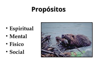 Propósitos
Propósitos
• Espiritual
• Mental
• Físico
• Social
 