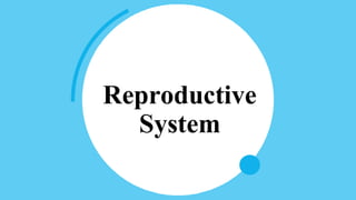 Reproductive
System
 