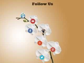 Follow Us
 