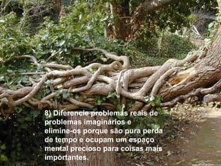 8) Diferencie problemas reais de problemas imaginários e  elimine-os porque são pura perda de tempo e ocupam um espaço mental precioso para coisas mais importantes. 