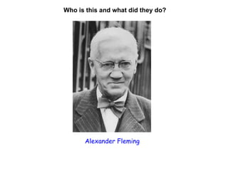 Who is this and what did they do? Alexander Fleming 