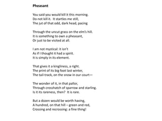 Pheasant

You said you would kill it this morning.
Do not kill it. It startles me still,
The jut of that odd, dark head, pacing

Through the uncut grass on the elm’s hill.
It is something to own a pheasant,
Or just to be visited at all.

I am not mystical: it isn’t
As if I thought it had a spirit.
It is simply in its element.

That gives it a kingliness, a right.
The print of its big foot last winter,
The tail-track, on the snow in our court—

The wonder of it, in that pallor,
Through crosshatch of sparrow and starling.
Is it its rareness, then? It is rare.

But a dozen would be worth having,
A hundred, on that hill – green and red,
Crossing and recrossing: a fine thing!
 