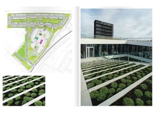 interior landscape design_rooftop gardens