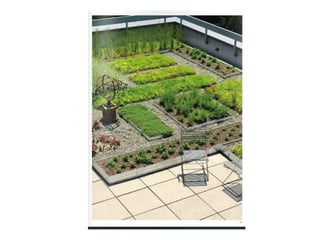interior landscape design_rooftop gardens