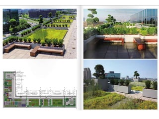 interior landscape design_rooftop gardens