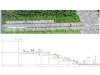interior landscape design_rooftop gardens