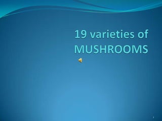 19varieties of MUSHROOMS 1 