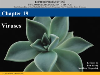 LECTURE PRESENTATIONS
For CAMPBELL BIOLOGY, NINTH EDITION
Jane B. Reece, Lisa A. Urry, Michael L. Cain, Steven A. Wasserman, Peter V. Minorsky, Robert B. Jackson
© 2011 Pearson Education, Inc.
Lectures by
Erin Barley
Kathleen Fitzpatrick
Viruses
Chapter 19
 