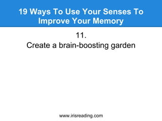 How to Improve Memory: 11 Ways to Increase Memory Power