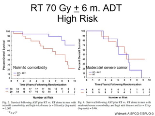 RT 70 Gy  +  6 m. ADT  High Risk No/mild comorbidity Moderate/ severe comor 