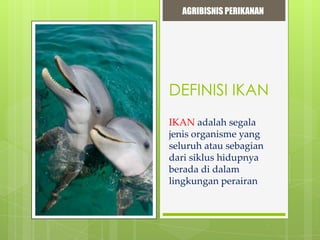 AGRIBISNIS PERIKANAN

DEFINISI IKAN
IKAN adalah segala
jenis organisme yang
seluruh atau sebagian
dari siklus hidupnya
berada di dalam
lingkungan perairan

 