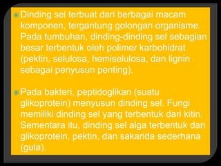 Dinding sel terbuat dari berbagai macam
komponen, tergantung golongan organisme.
Pada tumbuhan, dinding-dinding sel sebagian
besar terbentuk oleh polimer karbohidrat
(pektin, selulosa, hemiselulosa, dan lignin
sebagai penyusun penting).
 Pada bakteri, peptidoglikan (suatu
glikoprotein) menyusun dinding sel. Fungi
memiliki dinding sel yang terbentuk dari kitin.
Sementara itu, dinding sel alga terbentuk dari
glikoprotein, pektin, dan sakarida sederhana
(gula).
 