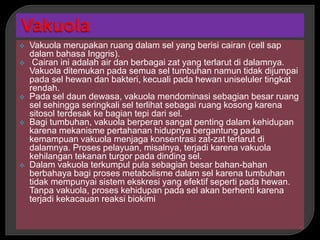  Vakuola merupakan ruang dalam sel yang berisi cairan (cell sap
dalam bahasa Inggris).
 Cairan ini adalah air dan berbagai zat yang terlarut di dalamnya.
Vakuola ditemukan pada semua sel tumbuhan namun tidak dijumpai
pada sel hewan dan bakteri, kecuali pada hewan uniseluler tingkat
rendah.
 Pada sel daun dewasa, vakuola mendominasi sebagian besar ruang
sel sehingga seringkali sel terlihat sebagai ruang kosong karena
sitosol terdesak ke bagian tepi dari sel.
 Bagi tumbuhan, vakuola berperan sangat penting dalam kehidupan
karena mekanisme pertahanan hidupnya bergantung pada
kemampuan vakuola menjaga konsentrasi zat-zat terlarut di
dalamnya. Proses pelayuan, misalnya, terjadi karena vakuola
kehilangan tekanan turgor pada dinding sel.
 Dalam vakuola terkumpul pula sebagian besar bahan-bahan
berbahaya bagi proses metabolisme dalam sel karena tumbuhan
tidak mempunyai sistem ekskresi yang efektif seperti pada hewan.
Tanpa vakuola, proses kehidupan pada sel akan berhenti karena
terjadi kekacauan reaksi biokimi
 