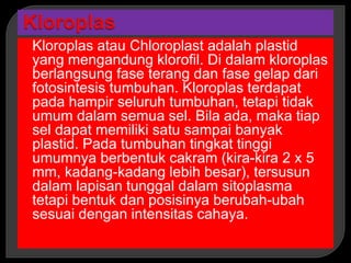 Kloroplas atau Chloroplast adalah plastid
yang mengandung klorofil. Di dalam kloroplas
berlangsung fase terang dan fase gelap dari
fotosintesis tumbuhan. Kloroplas terdapat
pada hampir seluruh tumbuhan, tetapi tidak
umum dalam semua sel. Bila ada, maka tiap
sel dapat memiliki satu sampai banyak
plastid. Pada tumbuhan tingkat tinggi
umumnya berbentuk cakram (kira-kira 2 x 5
mm, kadang-kadang lebih besar), tersusun
dalam lapisan tunggal dalam sitoplasma
tetapi bentuk dan posisinya berubah-ubah
sesuai dengan intensitas cahaya.
 