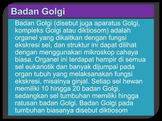 Badan Golgi (disebut juga aparatus Golgi,
kompleks Golgi atau diktiosom) adalah
organel yang dikaitkan dengan fungsi
ekskresi sel, dan struktur ini dapat dilihat
dengan menggunakan mikroskop cahaya
biasa. Organel ini terdapat hampir di semua
sel eukariotik dan banyak dijumpai pada
organ tubuh yang melaksanakan fungsi
ekskresi, misalnya ginjal. Setiap sel hewan
memiliki 10 hingga 20 badan Golgi,
sedangkan sel tumbuhan memiliki hingga
ratusan badan Golgi. Badan Golgi pada
tumbuhan biasanya disebut diktiosom
 