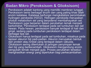  Peroksisom adalah kantong yang memiliki membran tunggal.
Peroksisom berisi berbagai enzim dan yang paling khas ialah
enzim katalase. Katalase berfungsi mengkatalisis perombakan
hydrogen peroksida (H2O2). Hidrogen peroksida merupakan
produk metabolism sel yang berpotensi membahayakan sel.
Peroksisom juga berperan dalam perubahan lemak menjadi
karbohidrat. Peroksisom terdapat pada sel tumbuhan dan sel
hewan. Pada hewan, peroksisom banyak terdapat di hati dan
ginjal, sedang pada tumbuhan peroksisom terdapat dalam
berbagai tipe sel.
 Glioksisom hanya terdapat pada sel tumbuhan, misalnya pada
lapisan aleuron biji padi-padian. Aleuron merupakan bentuk
dari protein atau kristal yang terdapat dalam vakuola.
Glioksisom sering ditemukan di jaringan penyimpan lemak
dari biji yang berkecambah. Glioksisom mengandung enzim
pengubah lemak menjadi gula. Proses perubahan tersebut
menghasilkan energi yang diperlukan bagi perkecambahan.
 
