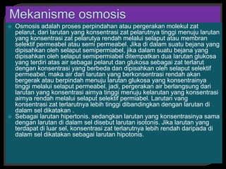  Osmosis adalah proses perpindahan atau pergerakan molekul zat
pelarut, dari larutan yang konsentrasi zat pelarutnya tinggi menuju larutan
yang konsentrasi zat pelarutya rendah melalui selaput atau membran
selektif permeabel atau semi permeabel. Jika di dalam suatu bejana yang
dipisahkan oleh selaput semipermiabel, jika dalam suatu bejana yang
dipisahkan oleh selaput semipermiabel ditempatkan dua Iarutan glukosa
yang terdiri atas air sebagai pelarut dan glukosa sebagai zat terlarut
dengan konsentrasi yang berbeda dan dipisahkan oleh selaput selektif
permeabel, maka air dari larutan yang berkonsentrasi rendah akan
bergerak atau berpindah menuju larutan glukosa yang konsentrainya
tinggi melalui selaput permeabel. jadi, pergerakan air berlangsung dari
larutan yang konsentrasi airnya tinggi menuju kelarutan yang konsentrasi
airnya rendah melalui selaput selektif permiabel. Larutan vang
konsentrasi zat terlarutnya lebih tinggi dibandingkan dengan larutan di
dalam sel dikatakan .
 Sebagai larutan hipertonis. sedangkan larutan yang konsentrasinya sama
dengan larutan di dalam sel disebut larutan isotonis. Jika larutan yang
terdapat di luar sel, konsentrasi zat terlarutnya lebih rendah daripada di
dalam sel dikatakan sebagai larutan hipotonis.
 