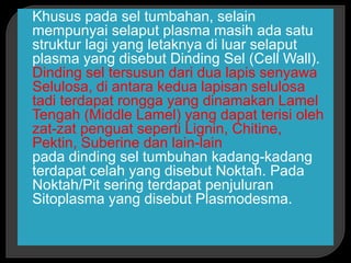 Khusus pada sel tumbahan, selain
mempunyai selaput plasma masih ada satu
struktur lagi yang letaknya di luar selaput
plasma yang disebut Dinding Sel (Cell Wall).
 Dinding sel tersusun dari dua lapis senyawa
Selulosa, di antara kedua lapisan selulosa
tadi terdapat rongga yang dinamakan Lamel
Tengah (Middle Lamel) yang dapat terisi oleh
zat-zat penguat seperti Lignin, Chitine,
Pektin, Suberine dan lain-lain
 pada dinding sel tumbuhan kadang-kadang
terdapat celah yang disebut Noktah. Pada
Noktah/Pit sering terdapat penjuluran
Sitoplasma yang disebut Plasmodesma.
 