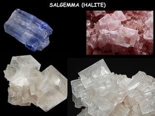 SALGEMMA (HALITE)
 