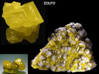 ZOLFO
 