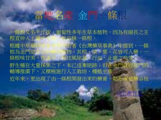 當地名產 金門一條根
一條根又名千斤拔，匍匐性多年生草本植物，因為有細長之主
根直伸入土壤中生長，故俗稱一條根。
根據中草藥研究者李幸祥所著《台灣藥草事典》中提到，一條
根為金門原生豆科藥用植物，其根、莖、葉、花皆可入藥，一
條根味甘美，性溫平，有祛風除濕、行血、止痛之功效。
野生種在大量採集之下，本已逐漸絕跡；但在金門政府部門的
輔導推廣下，又積極施行人工栽培、種植生產
近年來，更出現了由一條根開發出來的藥膏、貼布或是藥浴包
回名產首頁
 