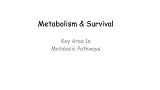 Metabolism & Survival
Key Area 1a
Metabolic Pathways
 