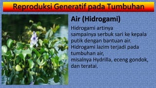 Reproduksi Generatif pada Tumbuhan
Air (Hidrogami)
Hidrogami artinya
sampainya serbuk sari ke kepala
putik dengan bantuan air.
Hidrogami lazim terjadi pada
tumbuhan air,
misalnya Hydrilla, eceng gondok,
dan teratai.
 