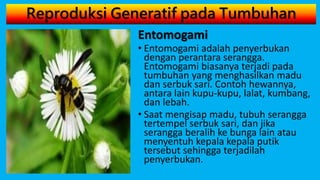 Reproduksi Generatif pada Tumbuhan
Entomogami
• Entomogami adalah penyerbukan
dengan perantara serangga.
Entomogami biasanya terjadi pada
tumbuhan yang menghasilkan madu
dan serbuk sari. Contoh hewannya,
antara lain kupu-kupu, lalat, kumbang,
dan lebah.
• Saat mengisap madu, tubuh serangga
tertempel serbuk sari, dan jika
serangga beralih ke bunga lain atau
menyentuh kepala kepala putik
tersebut sehingga terjadilah
penyerbukan.
 