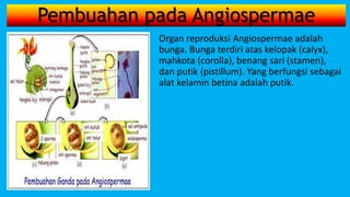 Pembuahan pada Angiospermae
Organ reproduksi Angiospermae adalah
bunga. Bunga terdiri atas kelopak (calyx),
mahkota (corolla), benang sari (stamen),
dan putik (pistillum). Yang berfungsi sebagai
alat kelamin betina adalah putik.
 