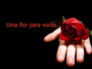 Uma flor para vocês... 