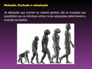 Mutação, Evolução e adaptação As alterações que ocorrem no material genético são as mutações que possibilitam que os indivíduos sofram novas adaptações determinando a evolução da espécie. 