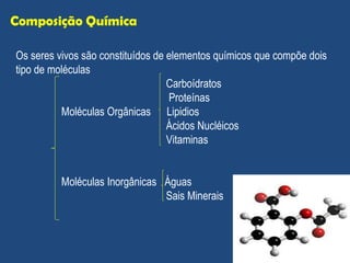 Composição Química Os seres vivos são constituídos de elementos químicos que compõe dois tipo de moléculas  Carboídratos Proteínas  Moléculas Orgânicas  Lipidios Ácidos Nucléicos Vitaminas Moléculas Inorgânicas  Águas Sais Minerais 