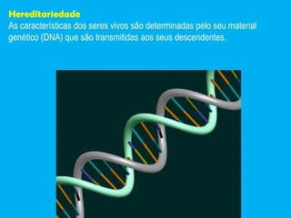 Hereditariedade As características dos seres vivos são determinadas pelo seu material genético (DNA) que são transmitidas aos seus descendentes. 